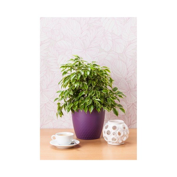 Fialový kvetináč Plastia Perla, ø 19 cm-image-1