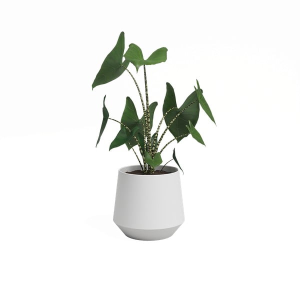 Keramický kvetináč ø 17 cm Aurora – Artevasi-image-3