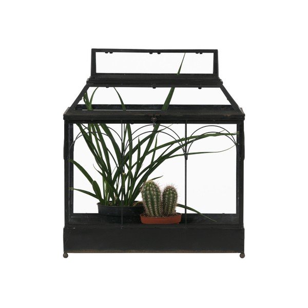 Terárium na kvetiny BePureHome Grow-image-1