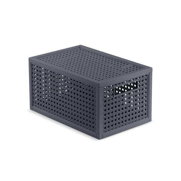 Tmavosivý úložný box s vekom z recyklovaného plastu 19x30x15 cm Kaya – Curver