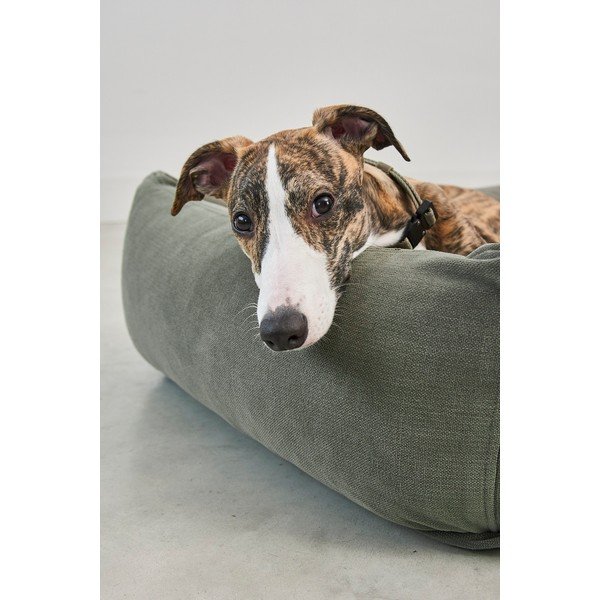 Šalviovozelený pelech pre psa 120x93 cm Comodo Sage L – MiaCara-image-3