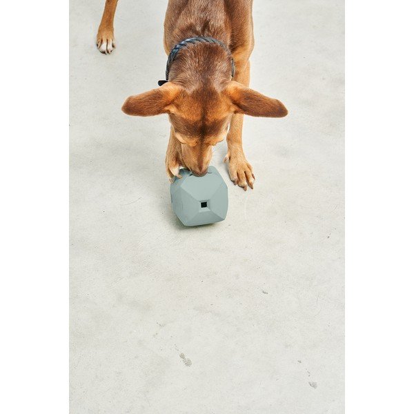 Hračka pre psa Dado Eucalyptus – MiaCara-image-3