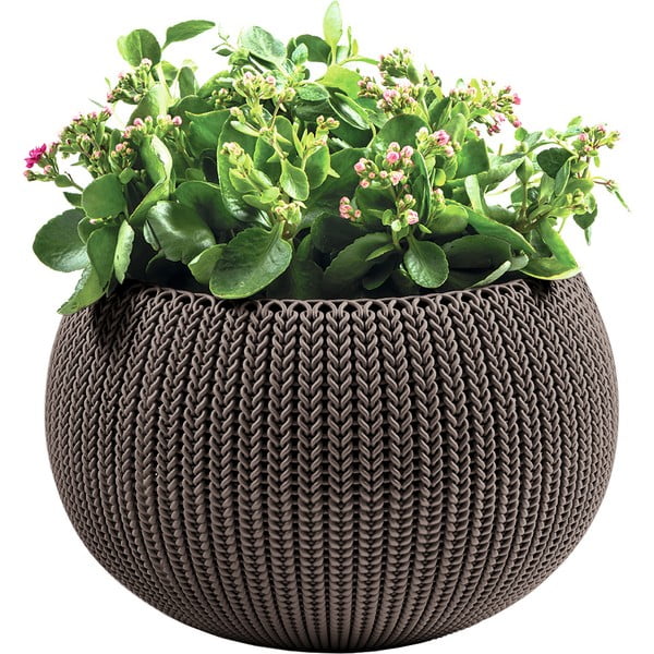 Plastový závesný a nástenný  kvetináč ø 36 cm Cozy – Keter-image-2
