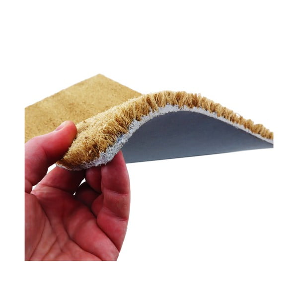 Rohožka z kokosového vlákna 40x60 cm Dachshund – Artsy Doormats-image-4