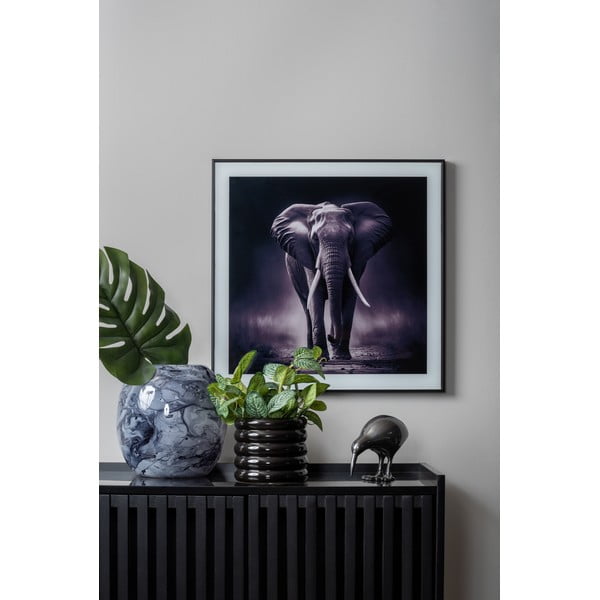 Obraz 50x50 cm Elephant - PT LIVING-image-1