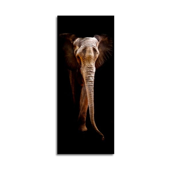 Obraz Styler Elephant, 125 x 50 cm