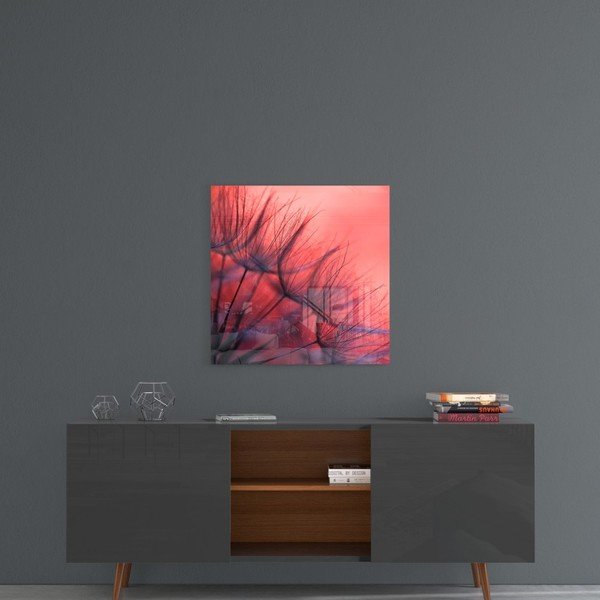 Sklenený obraz Insigne Red Dandelion, 40 x 40 cm-image-1
