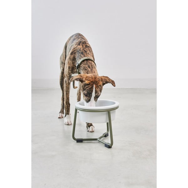 Porcelánová miska s podstavcom pre psa ø 20 cm Pranzo Grolive M – MiaCara-image-3