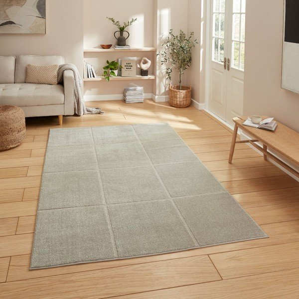 Svetlosivý koberec 120x170 cm Elio Silver – Think Rugs-image-1