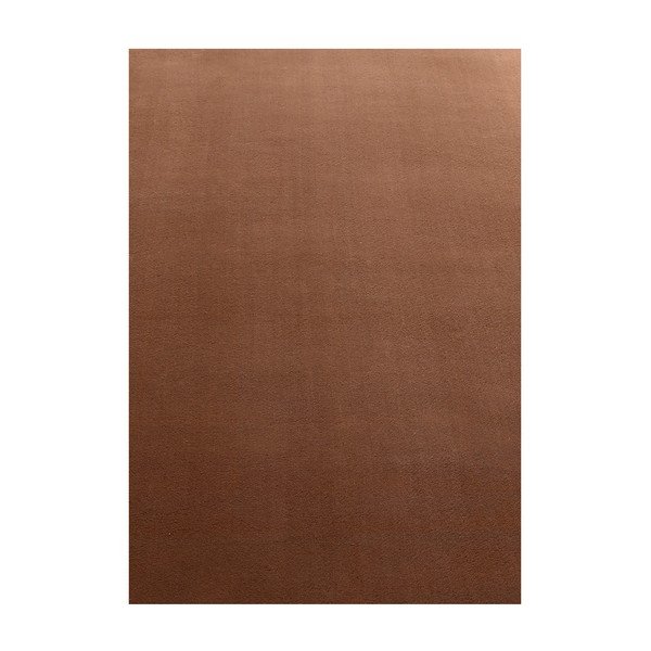 Hnedý prateľný koberec 160x230 cm Sky – Ayyildiz Carpets