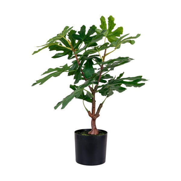 Umelá rastlina (výška  60 cm) Fig – House Nordic