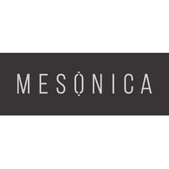 MESONICA · Puzo