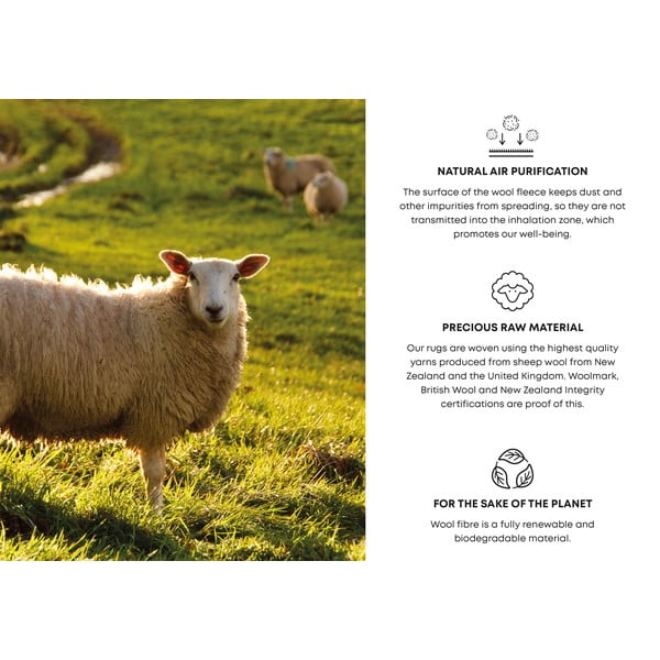 Tmavosivý vlnený koberec 200x300 cm Bran – Agnella-image-4