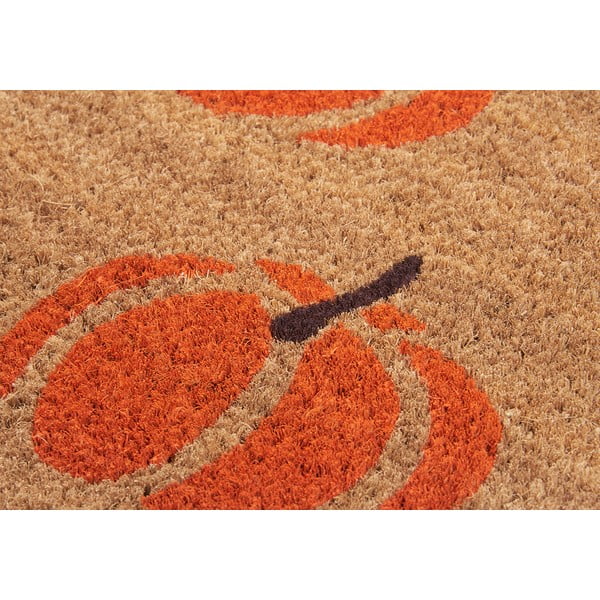 Rohožka 45x75 cm Mix Mats - Hanse Home-image-4