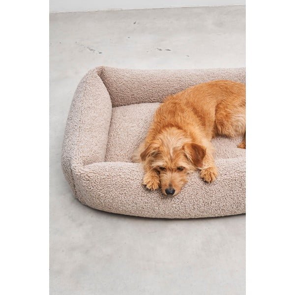 Béžový pelech pre psa z materiálu buklé 55x70 cm Senso Greige S – MiaCara-image-3