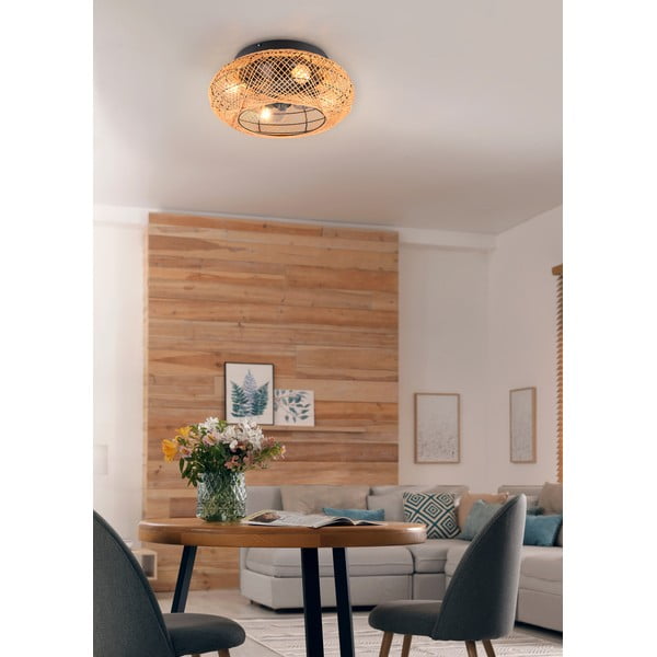 Hnedé stropné svietidlo na diaľkové ovládanie/s ventilátorom Lillesand – Trio-image-2