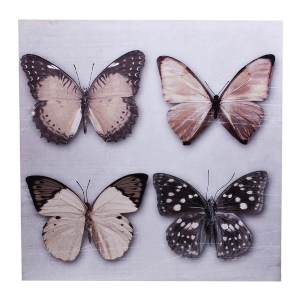 Obraz na plátne Ewax Quatro Butterfly, 60 x 60 cm