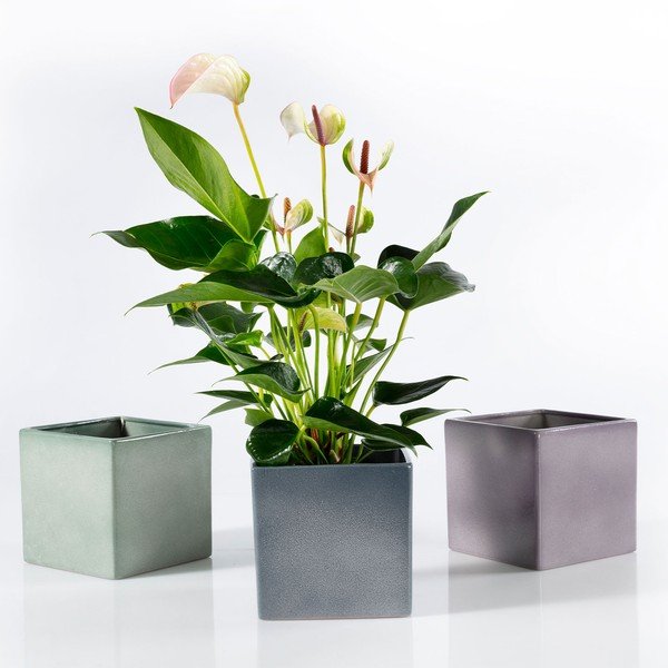 Zelený keramický kvetináč Big pots Latina, 15 x 15 cm-image-2