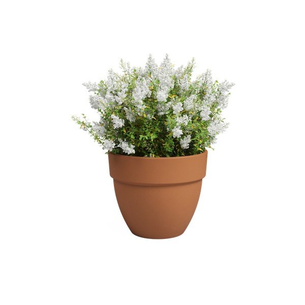 Kvetináč z terakoty ø 40 cm Amalia Campana – Artevasi-image-2