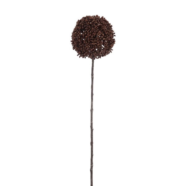 Dekorácia J-Line Onion Bulb Brown, 45 cm