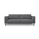 Tmavosivá pohovka 229 cm Hero – Scandic