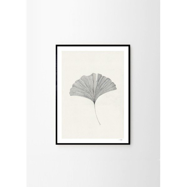 Plagát 50x70 cm Ginkgo Leaf – Ana Frois – The Poster Club-image-3
