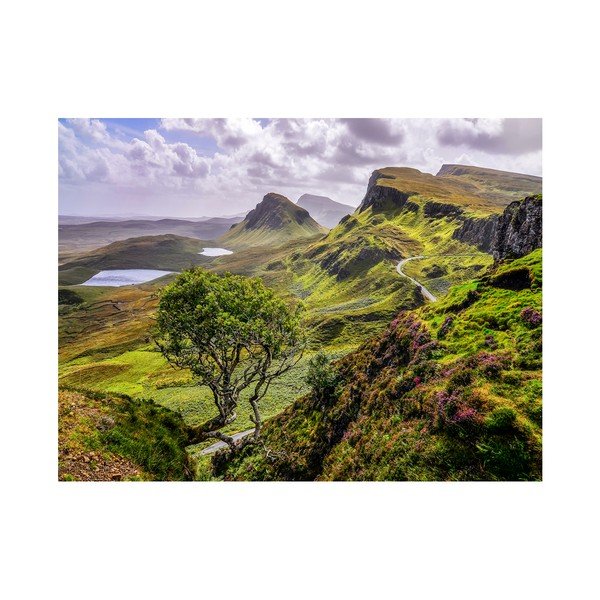 Obraz Styler Canvas Scotland Nature, 85 × 113 cm-image-1