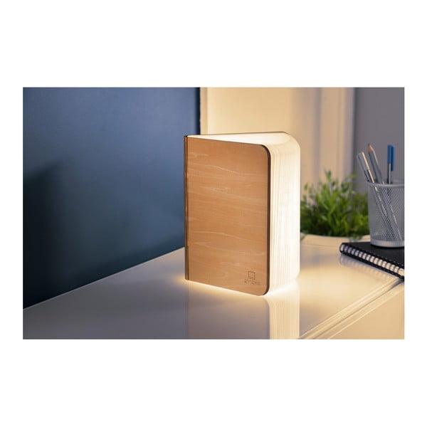 Svetelná dekorácia na USB v prírodnej farbe Booklight – Gingko-image-4