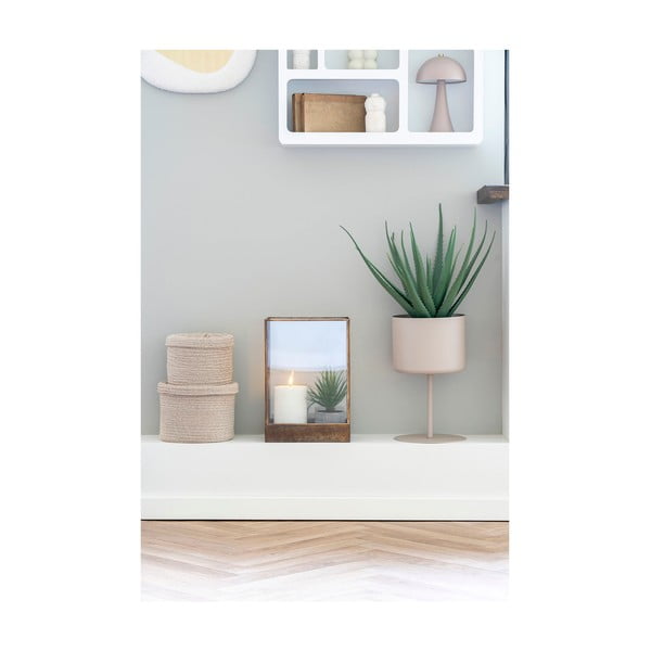 Umelá rastlina (výška 51 cm) Aloe Vera – House Nordic-image-2