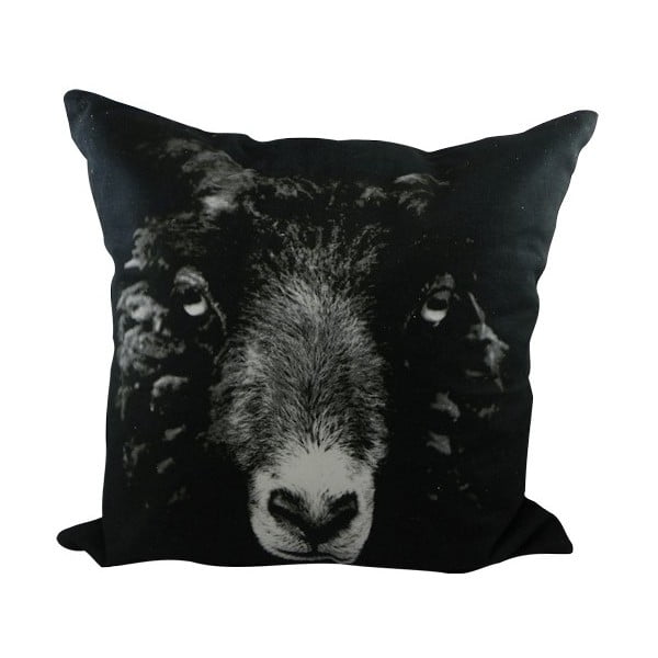 Vankúš Sepia Black Sheep 50x50 cm