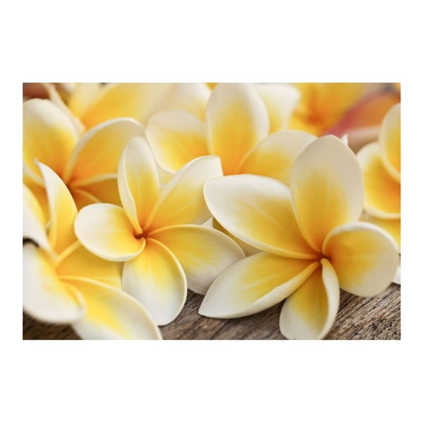 Nalepovacia tapeta na nábytok Dimex Kvety, 125 x 85 cm-image-2