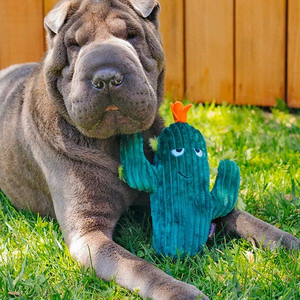 Hračka pre psa Kaktus – P.L.A.Y.-image-1