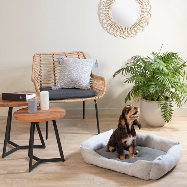 Svetlosivý pelech pre psa 60x48 cm Graphene – Love Story-image-1