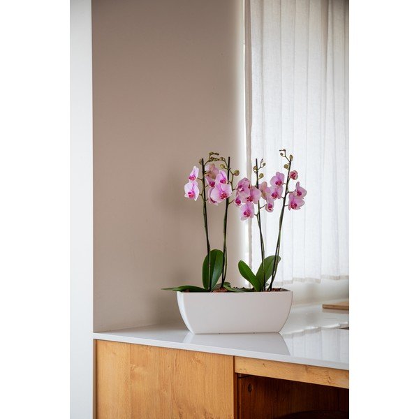 Kvetináč z recyklovaného plastu 40 cm Siena – Artevasi-image-1