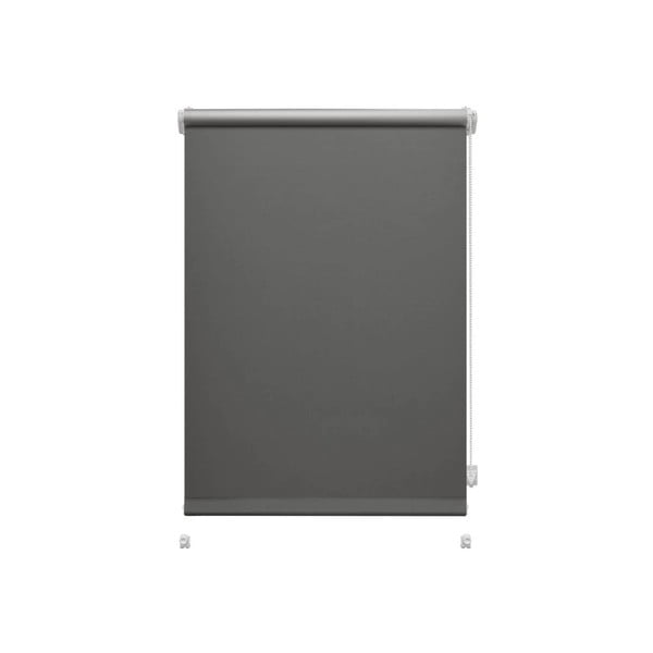Tmavosivá roleta 80x150 cm Mini Termo – Gardinia
