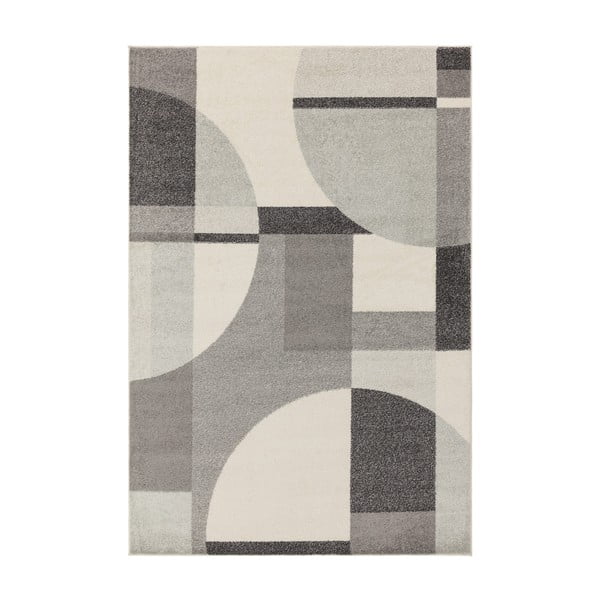 Sivý koberec 160x230 cm Muse – Asiatic Carpets