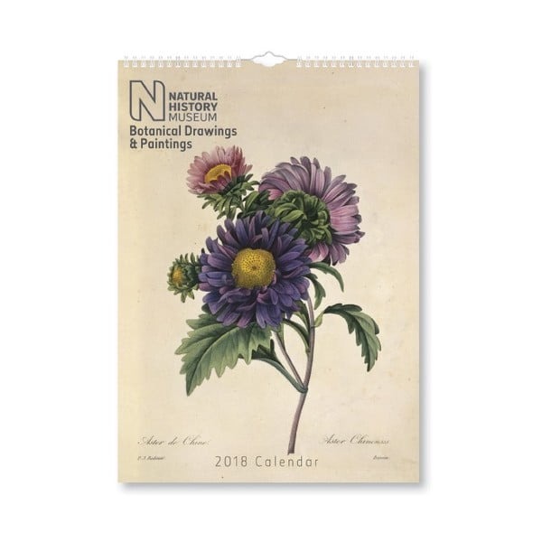 Nástenný kalendár na rok 2018 Portico Designs Natural History Museum Botanical, A3
