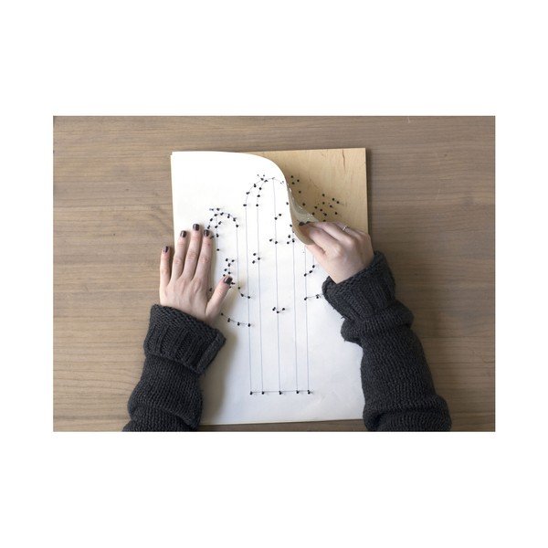 DIY obraz Really Nice Things Cactus, 40 × 60 cm-image-3
