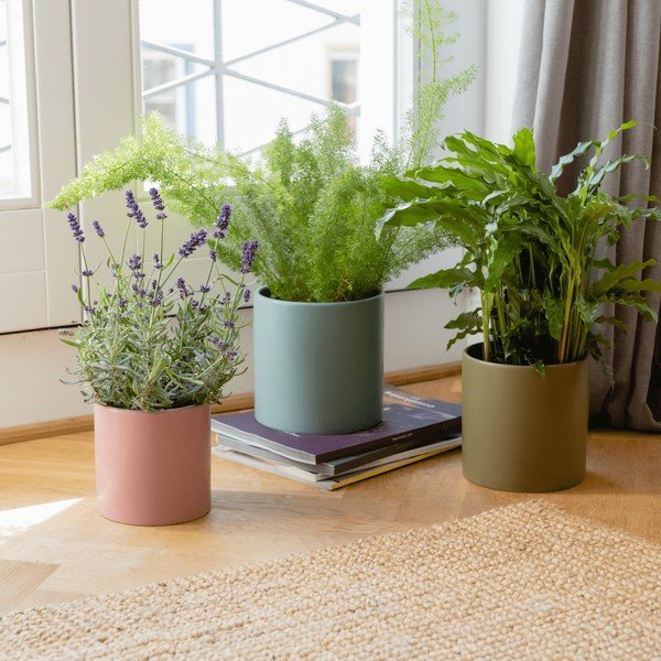 Porcelánové obaly na kvetináče v súprave 3 ks  na bylinky ø 17 cm Turin – Remember-image-1