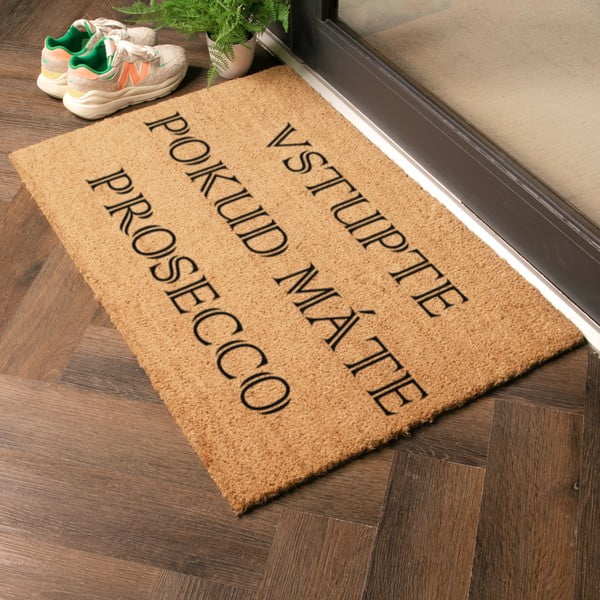 Rohožka z kokosového vlákna 40x60 cm Prosecco – Artsy Doormats-image-1