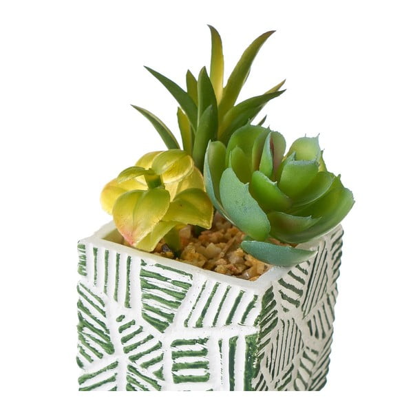 Umelé rastliny v súprave 3 ks (výška  12 cm) Cactus – Casa Selección-image-2