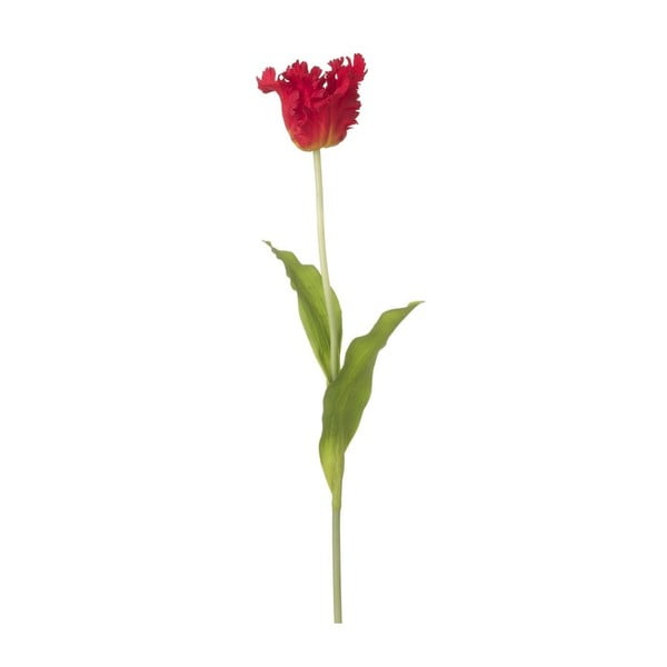 Červená dekoratívna kvetina Heaven Sends Rulip