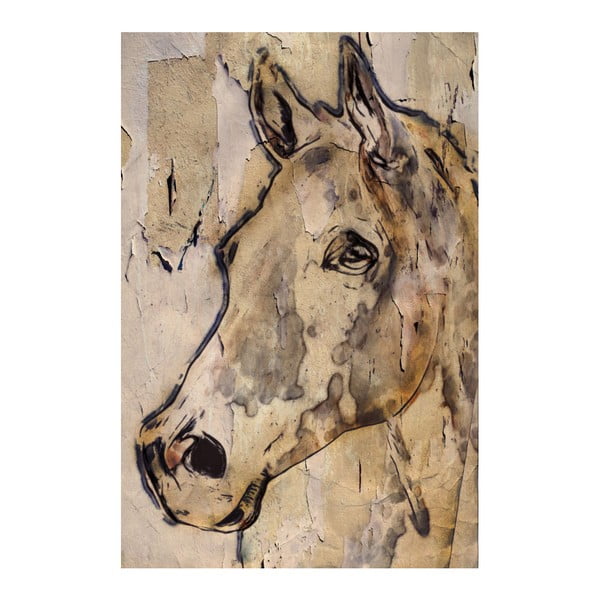 Obraz na plátne Marmont Hill Cheval, 61 × 41 cm