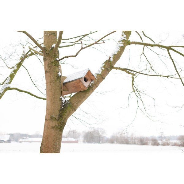 Drevená búdka pre sovu – Esschert Design-image-2