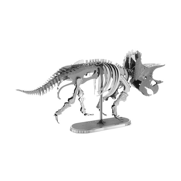 Model Truceratops Skeleton-image-1