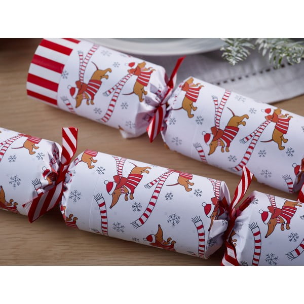 Vianočné crackery v súprave 6 ks Racing Sausage Dog – Robin Reed-image-2