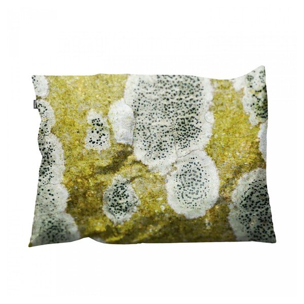 Obliečka na vankúš Macro Tree, 35x50 cm