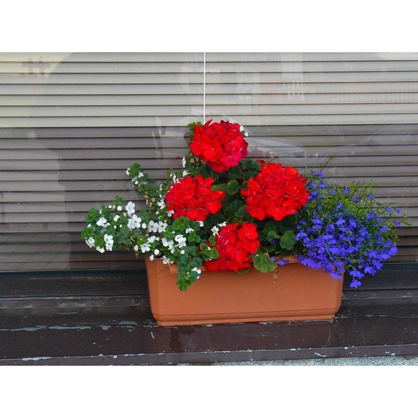 Hnedý samozavlažovací kvetináč Plastia Siesta, dĺžka 60 cm-image-1