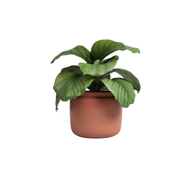 Keramický ručne vyrobený kvetináč ø 20 cm Astrea – Artevasi-image-4