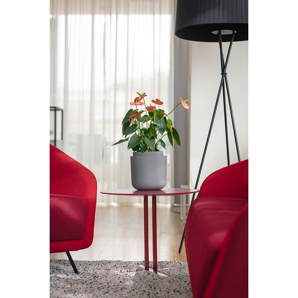 Sivý samozavlažovací kvetináč Plastia Tolita, ø 19 cm-image-2